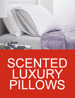 Scented Luxury Pillows